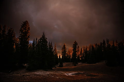 fotografia di silhouette, foresta, cielo, notte, nube, buio, albero, bosco, lago, stagno, patrizio hendry, sunet, natura, paesaggio, montagna, all'aperto, Paesaggi, bellezza nella natura, Pino, nuvola - cielo, nessuno, tramonto, nebbia, inverno, blu, abete, scena tranquilla, crepuscolo, Canada, luce del sole, scena non urbana, stagione, viaggio, la neve, area selvaggia, mattina, catena montuosa, luce - fenomeno naturale, estate, Cloudscape, terreno estremo, alba - alba, 8K, CC0, dominio pubblico, privo di copyright