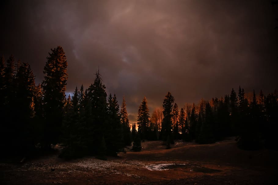 fotografia de silueta, bosc, cel, nit, núvol, fosc, arbre, llac, estany, patrick hendry, sunet, naturalesa, paisatge, muntanya, a l'aire lliure, escenics, bellesa a la natura, pi, núvol - cel, cap gent, posta de sol, boira, hivern, blau, avet, escena tranquil·la, vespre, Canadà, llum solar, escena no urbana, temporada, viatjar, neu, àrea salvatge, al matí, Serra, llum - fenomen natural, estiu, cloudscape, terrenys extrems, sortida del sol - alba, 8K