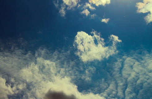 cumulus clouds, blue, sky, beautiful, blue sky, clouds, cloudscape, fair weather, high, low angle photography, nature, outdoors, scenic, cloud - sky, beauty in nature, scenics - nature, no people, tranquility, backgrounds, idyllic, tranquil scene, day, environment, sunlight, white color, atmosphere, wind, softness, meteorology, climate, 5K, CC0, public domain, royalty free