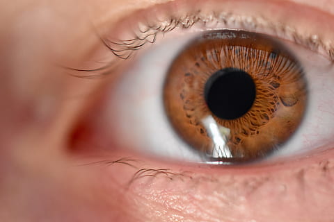 ull, iris, pestanyes, vista, sales, primer pla, percepció sensorial, part del cos humà, ull humà, part del cos, pestanya, primer pla extrem, una persona, globus ocular, adult, adult jove, retrat, iris - ull, mirant, dones, ulls marrons, dona guapa, rostre humà, cella, contemplació, parpella, 5K, CC0, domini públic, lliure de regalies