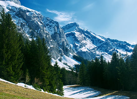 grønn, furutrær, fjell, vakker, nåletre, miljø, breen, landskap, fjelltopp, natur, naturfotografering, utendørs, pines, scenisk, snødekte fjell, naturskjønnhet - natur, snø, kaldtemperatur, tre, skjønnhet i naturen, vinter, anlegg, rolig scene, himmel, ro, dag, fjellkjede, ingen folk, ikke-urbane scene, land, 5K, CC0, offentlig domene, opphavsrett gratis