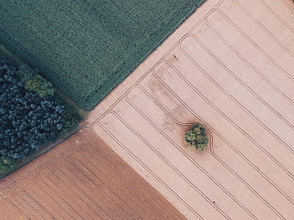 alberi, largo, campo, modello, azienda agricola, dall'alto al basso, Marrone, verde, abbronzatura, vista aerea, vista drone, pianura, contrasto, agricoltura, albero solitario, albero, terra, veicolo aereo, natura, aereo, aria, sfondi, volante, sopra, raccolto, uccello, mezz'aria, raccolta, erba, all'aperto, vista dall'alto, prateria, scena rurale, pavimentazione, pianta, 2K, CC0, dominio pubblico, privo di copyright