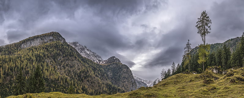 landscape photography, mountains, gray, cloudy, sky, clouds, daylight, forest, grass, high, ice, landscape, mountain peak, nature, scenic, snow, snowy, summit, trees, woods, cloud - sky, mountain, scenics - nature, environment, plant, beauty in nature, tree, panoramic, mountain range, tranquil scene, tranquility, non-urban scene, no people, storm, land, storm cloud, outdoors, pine tree, woodland, coniferous tree, 8K, CC0, public domain, royalty free