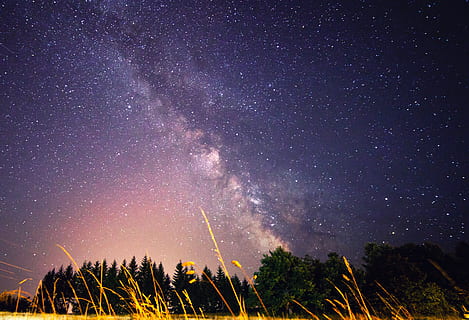 galàxia, Via Làctea, nit, herba, nebulosa, a l'aire lliure, espai exterior, espai, univers, astronomia, mala reka, kaludjerske nu, serbia, estrella, camp, arbre, fosc, paisatge, naturalesa, exposició llarga, estrella - espai, cel, bellesa a la natura, escenics - natura, escena tranquil·la, tranquil·litat, planta, cap gent, camp estel·lar, medi ambient, vista d’angle baix, terra, espai i astronomia, porpra, 4K, CC0, domini públic, lliure de regalies