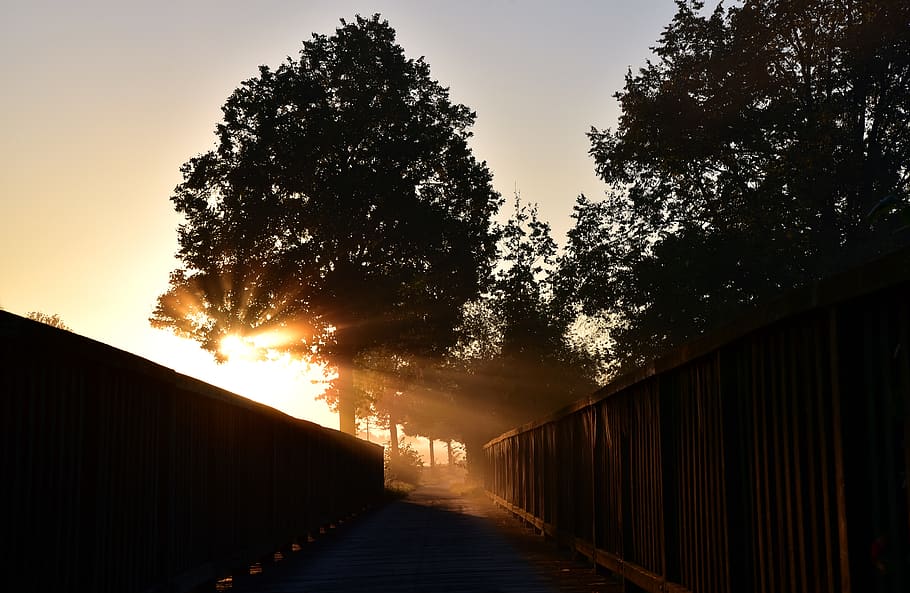 Sonnenaufgang, Brücke, Netz, Baum, Sonnenstrahl, Licht, Hölle, neuer Tag, Weg, Weg zum Licht, zum Licht, Pflanze, Himmel, Sonnenuntergang, der Weg nach vorn, Natur, Richtung, keine Leute, Fußweg, Wachstum, orange Farbe, abnehmende Perspektive, die Architektur, Silhouette, draußen, Ruhe, Schönheit in der Natur, Transport, leeren, gebaute Struktur, lange, 5K