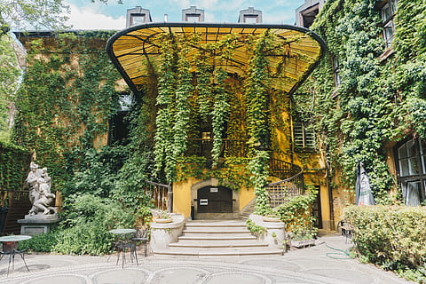 green leafed trees, ivy, plant, porch, building, hungary, palace district, budapest, urban, flora, art, sculpture, statue, leaf, foliage, climbing plant, home, entryway, entry, stair, step, built structure, architecture, tree, building exterior, day, no people, nature, growth, entrance, the way forward, direction, outdoors, belief, green color, seat, religion, place of worship, courtyard, 5K, CC0, public domain, royalty free