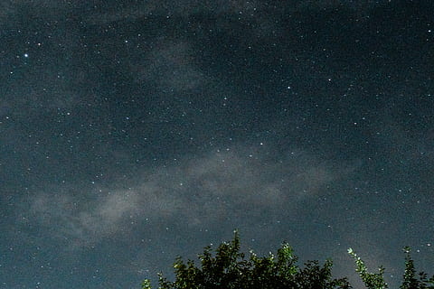 Sterne, Bäume, Nachtzeit, Nacht-, Himmel, Star, Wolke, Baum, Pflanze, Langzeitbelichtung, Farbe, Astronomie, Stern - Raum, Galaxis, Milchstraße, Konstellation, Nebel, Platz, Sternfeld, Natur, Wissenschaft, Planet - Raum, Houston Astros, dunkel, Weltraumforschung, Astrologie, Sternform, Blau, Astronomie-Teleskop, Landschaft, Wald, Sternspur, Kosmos Blume, Meteor, Hintergründe, Licht - natürliches Phänomen, szenen, Unendlichkeit, Berg, draußen, keine Leute, Fernrohr, Schönheit in der Natur, Nordlicht, Nordstern, Erkundung, glänzend, Norden, 5K, CC0, gemeinfrei, lizenzfrei
