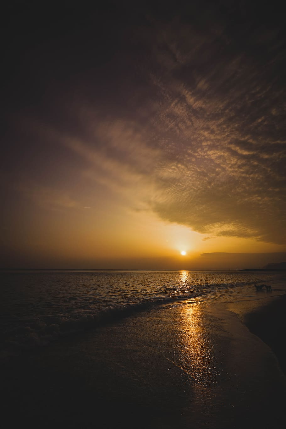 orizzonte oceanico, tramonto, fotografia di paesaggio, spiaggia, nuvole, crepuscolo, sera, paesaggio, fotografia naturalistica, oceano, all'aperto, riflessi, mare, paesaggio marino, silhouette, cielo, sole, acqua, onde, scenics - natura, la tranquillità, bellezza nella natura, orizzonte sull'acqua, orizzonte, scena tranquilla, nuvola - cielo, riflessione, idilliaco, terra, natura, nessuno, luce del sole, 5K