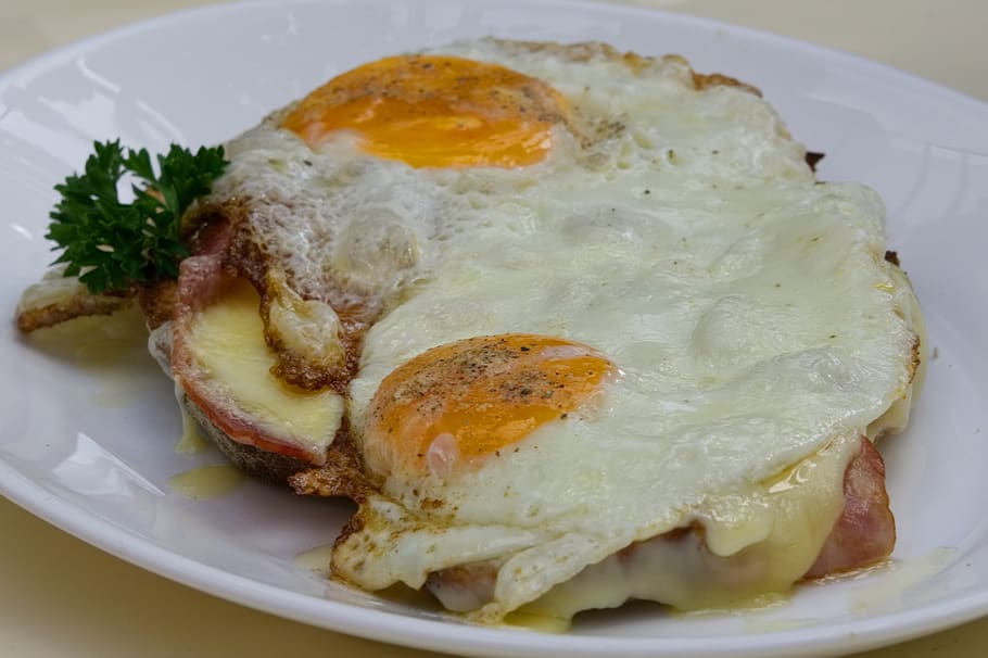 fregit, ou, pa, rovell, ous ferrats, menjar, entrepans d'ous, màx, placa, llest per menjar, menjar i beguda, frescor, primer pla, natura morta, alimentació saludable, ou fregit, mida de la porció, benestar, a l'interior, esmorzar, indulgència, cap gent, vista d’angle alt, taula, rovell d'ou, costat assolellat cap amunt, temptació, sopar, 4K