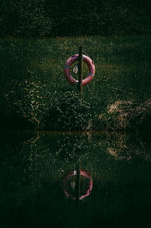bouée de sauvetage, bague, rivière, réflexion, eau, Lac, mer, marais, rouge, foncé, herbe, vert, Aidez-moi, plante, la nature, journée, personne, tranquillité, front de mer, terre, en plein air, couleur verte, beauté dans la nature, croissance, scène tranquille, protection, champ, paysages - nature, 4K, CC0, domaine public, libre de droits