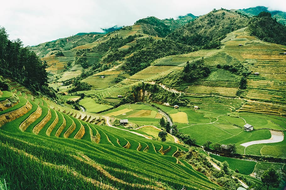 terreno edificabile, paesaggio, scenics - natura, bellezza nella natura, colore verde, agricoltura, scena rurale, ambiente, campo, pianta, terra, azienda agricola, scena tranquilla, crescita, montagna, la tranquillità, natura, giorno, albero, idilliaco, nessuno, all'aperto, paesaggio ondulato, piantagione, 2K