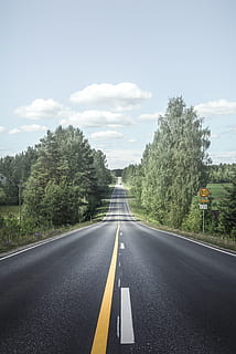 Straße zwischen Bäumen, Straße, Zeichen, Transport, die Straßenmarkierung, Symbol, Markierung, Baum, Richtung, der Weg nach vorn, Pflanze, abnehmende Perspektive, Himmel, keine Leute, Fluchtpunkt, wolke - himmel, Tag, Natur, leere Straße, Asphalt, Nicht-städtische Szene, doppelte gelbe Linie, draußen, Trennlinie, 4K, CC0, gemeinfrei, lizenzfrei