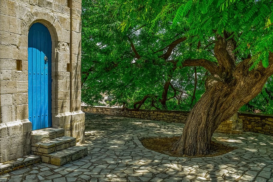 pissarra, quadrat, arbre, porta, pedra, poble, Xipre, kato lefkara, planta, arquitectura, estructura construïda, exterior de l'edifici, dia, naturalesa, creixement, cap gent, color verd, edifici, llambordes, a l'aire lliure, entrada, tronc de l'arbre, tronc, arc, carrer, llum solar, 5K