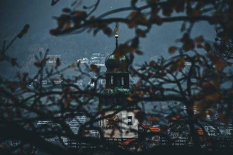 branches , branches, buildings, city, tree, building exterior, architecture, built structure, tower, building, no people, nature, sky, travel destinations, plant, dusk, religion, outdoors, water, tourism, branch, spire, 5K, CC0, public domain, royalty free