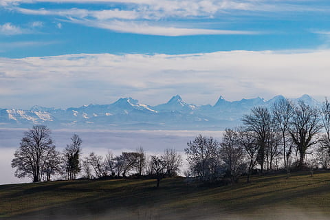 tåge, bjergkæde, Eiger, munk, Finsteraarhorn, bernese alper, bjerge, panorama, dis, udsigt, scenics - natur, skønhed i naturen, himmel, træ, ro, bjerg, rolig scene, plante, miljø, sky - himmel, landskab, ikke-urbane scene, ingen mennesker, natur, idyllisk, dag, jord, vækst, udendørs, snedækket bjerg, 4K, CC0, offentligt domæne, royaltyfrie
