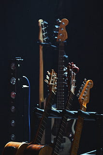 kilka gitar, gitara, instrument muzyczny, muzyka, instrument smyczkowy, sprzęt muzyczny, kultura i rozrywka artystyczna, gitara elektryczna, strunowy, wewnątrz, żadnych ludzi, muzyka rockowa, nowoczesna skała, czarne tło, wzmacniacz, gitara akustyczna, Studio nagrań, wydajność, zbliżenie, metal, etap, życie nocne, gitara basowa, 5K, CC0, domena publiczna, darmowe zdjęcia