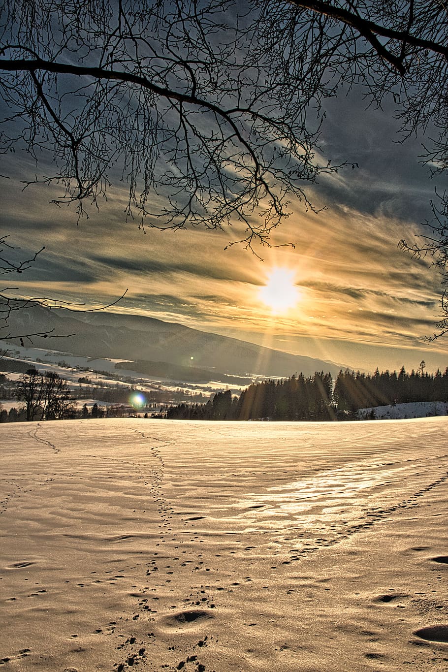 invernale, inverno, la neve, freddo, natura, nevoso, magia invernale, alberi, bianca, brina, paesaggio innevato, cielo, umore, escursioni a piedi, umore invernale, sogno invernale, idilliaco, congelato, tramonto, albero, scena tranquilla, la tranquillità, bellezza nella natura, scenics - natura, terra, sole, temperatura fredda, nuvola - cielo, scena non urbana, albero nudo, nessuno, paesaggio, pianta, all'aperto, riflesso lente, 5K