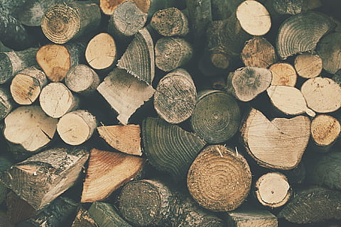 toras de árvore marrom, madeira, registro, lenha, grande grupo de objetos, indústria madeireira, pilha, madeira - material, quadro completo, abundância, árvore, desmatamento, origens, floresta, pilha de lenha, geração de combustível e energia, ninguém, texturizado, combustível fóssil, natureza, ao ar livre, 1080P, CC0, domínio público, royalty free