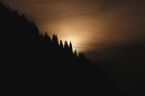 forest during sunset, sky, sunset, nature, outdoors, sunrise, tree, dawn, dusk, red sky, silhouette, light, forest, woodland, shadow, conifer, flora, plant, horizon, grass, trees, beauty in nature, tranquility, tranquil scene, scenics - nature, non-urban scene, no people, idyllic, orange color, dark, environment, growth, remote, mountain, coniferous tree, 5K, CC0, public domain, royalty free