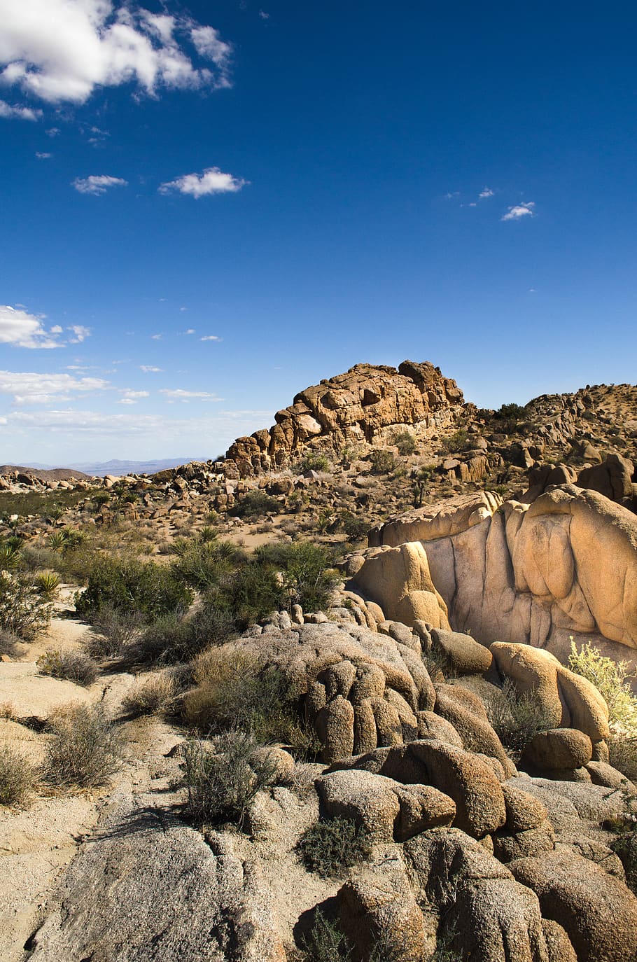 montanha marrom, parque nacional de joshua tree, Estados Unidos, Rocha, solo, ao ar livre, natureza, deserto, calcário, costa, oceano, mar, agua, azul, ruínas, estrada, estrada de terra, cascalho, rock - objeto, céu, sólido, scenics - natureza, beleza na natureza, formação rochosa, cena tranquila, meio Ambiente, ninguém, tranquilidade, panorama, geologia, cena não urbana, terra, Geografia física, dia, plantar, clima árido, clima, semi-árido, corroído, arenito, 4K