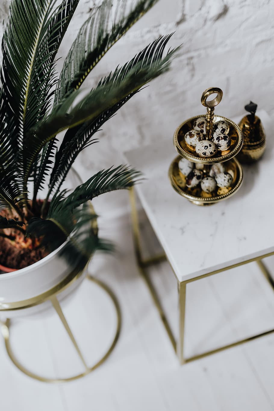 quail eggs, white, marble, eggs, easter, quail, Un'common, uncommon, plant, table, no people, metal, indoors, high angle view, still life, close-up, nature, leaf, focus on foreground, plant part, time, potted plant, pattern, clock, day, design, crockery, 4K