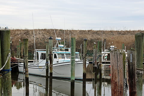 fishing boats, moored, dock, point, pleasant, new, jersey., moored fishing boats, docked fishing boats, fishing boat, small fishing boat, deck boat, offshore fishing boats, deep sea fishing boats, inshore fishing boats, commercial fishing boat, pictures of fishing boats, fishing boat image, water, nautical vessel, transportation, mode of transportation, sky, no people, reflection, nature, day, lake, waterfront, outdoors, wood - material, post, wooden post, pier, plant, architecture, sailboat, 2K, CC0, public domain, royalty free