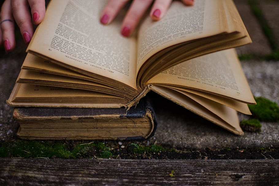 llibre de lectura de persona, llibre, publicació, mà humana, educació, pàgina, activitat, lectura, gent, mà, obert, aprenentatge, saviesa, celebració, activitat d'oci, persones reals, part del cos humà, literatura, dones, centrar-se en primer pla, estudiar, 5K