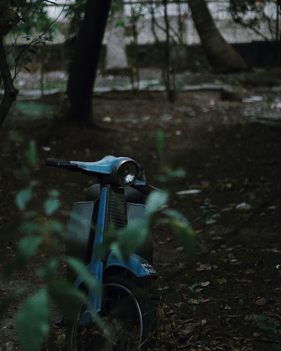 Índia, pune, terra, camp, naturalesa, planta, dia, cap gent, arbre, transport, a l'aire lliure, vehicle terrestre, full, centrar-se en primer pla, bicicleta, part de la planta, enfocament selectiu, manera de transport, parc, metall, bosc, herba, roda, 4K