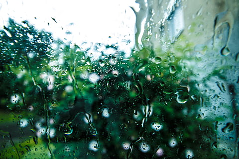 still, items, things, windows, pane, glass, rain, water, droplet, trees, view, bokeh, wet, drop, glass - material, transparent, close-up, window, no people, full frame, nature, plant, backgrounds, day, green color, indoors, freshness, selective focus, raindrop, rainy season, purity, dew, 5K, CC0, public domain, royalty free