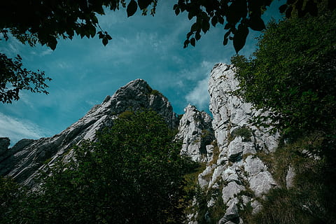 verde, alberi, montagna, albero, pianta, all'aperto, natura, abete, abies, scogliera, catena montuosa, picco, conifera, altopiano, pendenza, campagna, tronco d'albero, avventura, attività ricreative, scenario, mesa, tempo metereologico, cielo, Inquadratura dal basso, roccia, bellezza nella natura, la tranquillità, scena tranquilla, scenics - natura, nuvola - cielo, solido, roccia - oggetto, nessuno, giorno, crescita, formazione rocciosa, scena non urbana, formazione, eroso, 5K, CC0, dominio pubblico, privo di copyright