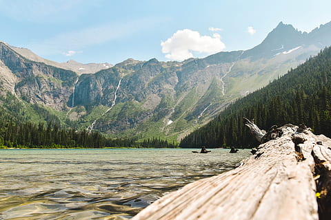 green, trees, covered, mountain, lake, log, trunk, sky, cloud, forest, tree, blue, bright, landscape, nature, sunlight, wilderness, rugged, untouched, water, montana, national park, outdoors, summer, scenics, european Alps, travel, river, beauty In Nature, mountain Range, mountain Peak, green Color, rock - Object, wood - Material, vacations, tourism, hiking, woodland, tranquil Scene, day, no People, autumn, reflection, valley, cloud - Sky, idyllic, non-Urban Scene, hill, 5K, CC0, public domain, royalty free