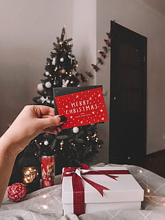 mim, plantar, árvore, humano, pessoa, enfeite, árvore de Natal, abies, abeto, presente, texto, dedo, conífera, joalheria, diamante, acessório, pedra preciosa, acessórios, envelope, cartão, enviar, Natal, mão humana, celebração, uma pessoa, mão, parte do corpo humano, feriado, segurando, decoração, dentro de casa, pessoas reais, Decoração de Natal, evento de feriado, estilos de vida, parte do corpo, Enfeite de natal, caixa - contentor, 4K, CC0, domínio público, royalty free