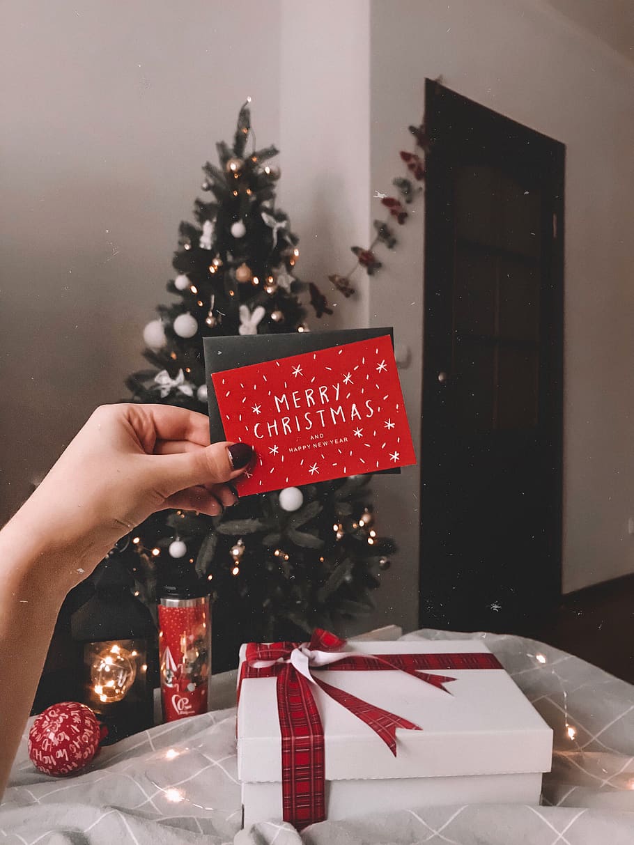 mim, plantar, árvore, humano, pessoa, enfeite, árvore de Natal, abies, abeto, presente, texto, dedo, conífera, joalheria, diamante, acessório, pedra preciosa, acessórios, envelope, cartão, enviar, Natal, mão humana, celebração, uma pessoa, mão, parte do corpo humano, feriado, segurando, decoração, dentro de casa, pessoas reais, Decoração de Natal, evento de feriado, estilos de vida, parte do corpo, Enfeite de natal, caixa - contentor, 4K