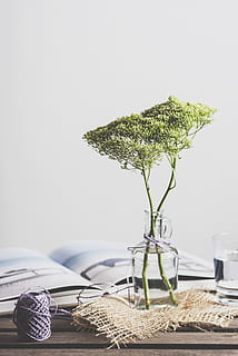 immer noch, Artikel, Dinge, Innere, Zuhause, Dekor, diy, Vase, Blumen, Matte, Garn, Bücher, Glas, Wasser, Schreibtisch, Tabelle, drinnen, Pflanze, keine Leute, Natur, Stillleben, kopieren sie platz, Nahansicht, Wachstum, grüne Farbe, selektiver Fokus, Blume, Frische, Möbel, Wandbau - Funktion, blühende Pflanze, Baum, 5K, CC0, gemeinfrei, lizenzfrei