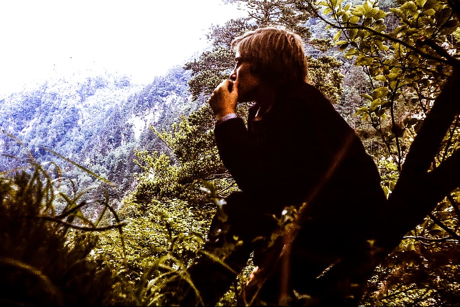 dia, retro, persona, arbre, verd, Anys vuitanta, 1980er, planta, una persona, persones reals, naturalesa, activitat d'oci, estils de vida, a l'aire lliure, bosc, comunicació, vista d’angle baix, llum solar, retrat, celebració, vista lateral, homes, creixement, activitat, 4K