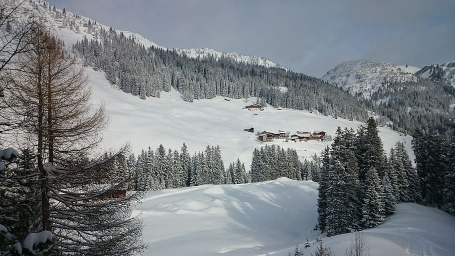 vinter, vinterlige, sne, kold, natur, snedækket, vinterdrøm, graner, vinterstemning, alpine, kold temperatur, træ, bjerg, plante, scenics - natur, skønhed i naturen, dækker, hvid farve, rolig scene, ro, himmel, miljø, snedækket bjerg, ikke-urbane scene, dag, ingen mennesker, udendørs, fyrretræ, 4K