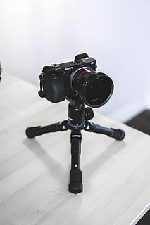 zwarte dslr camera, elektronica, camera, statief, Verenigde Staten, San Diego, videocamera, fotografie thema's, technologie, binnenshuis, camera - fotografische apparatuur, fotografische apparatuur, geen mensen, tafel, detailopname, zwarte kleur, focus op de voorgrond, stilleven, lens - optisch instrument, digitale camera, modern, dag, hout - materiaal, uitrusting, slr camera, thuis videocamera, 5K, CC0, publiek domein, royaltyvrij