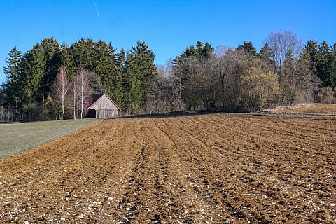 arabil, camp, primăvară, natură, agricultură, copac, plantă, cer, arhitectură, teren, construită, peisaj, nici o persoana, creştere, scenice - natura, zi, exteriorul clădirii, casă, o scenă liniștită, liniște, clădire, mediu inconjurator, scenă non-urbană, în aer liber, 5K, CC0, domeniu public, fără drepturi de autor