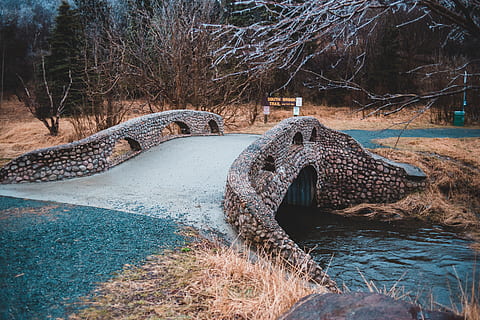 pont de pedra, serp, rèptil, animal, naturalesa, fusta, edifici, a l'aire lliure, pissarra, habitatge, llangardaix, pneumàtic, camp, arquitectura, terra, bunker, rural, refugi, sòl, cúpula, llosa, arbre, aigua, planta, cap gent, arbre nu, dia, estructura construïda, hivern, llac, tranquil·litat, branca, arc, exterior de l'edifici, temperatura de fred, bellesa a la natura, 5K, CC0, domini públic, lliure de regalies