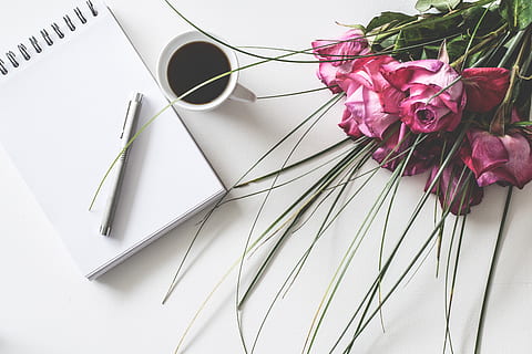skrivebord, notesblok, kaffe, tom, blad, roser, romantisk, dekoration, skrive, noter, breve, blomster, baggrund, hvid, feminin, brevpapir, Mors Dag, Valentins Dag, blomst og strauss, arbejdsplads, gave, blomst, blomstrende plante, plante, indendørs, bord, skønhed i naturen, høj vinkel visning, natur, friskhed, Rose, rosenblomst, tæt på, en person, lyserød farve, sårbarhed, skrøbelighed, offentliggørelse, papir, Bestil, kronblad, blomsterhoved, blomster arrangement, 5K, CC0, offentligt domæne, royaltyfrie