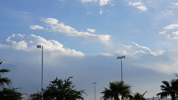 cloud, palm, tree, lampost, parking lot, sky, cloudy, dusk, cloud - sky, low angle view, street light, street, lighting equipment, nature, plant, day, no people, outdoors, tall - high, palm tree, floodlight, beauty in nature, pole, communication, tropical climate, light, 5K, CC0, public domain, royalty free