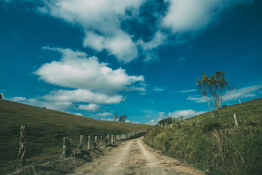alberi verdi, nuvole, luce del giorno, ambiente, campo, erba, prateria, collina, paesaggio, prato, natura, pascolo, strada, panoramico, cielo, estate, alberi, acqua, staccionata in legno, direzione, nuvola - cielo, la strada davanti, la tranquillità, scena tranquilla, mezzi di trasporto, bellezza nella natura, scenics - natura, terra, strada sterrata, scena non urbana, pianta, prospettiva decrescente, sporco, nessuno, all'aperto, lungo, 5K
