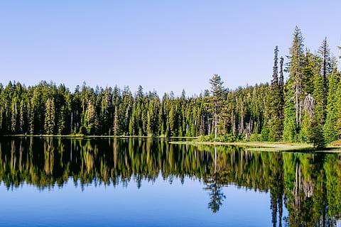 floresta verde, Estados Unidos, bacia dos sete lagos, árvore, flora, plantar, conífera, enfeitar, grama, ao ar livre, vegetação, natureza, terra, floresta, pântano, agua, pinho, abies, abeto, reflexão, tranquilidade, lago, cena tranquila, beleza na natureza, scenics - natureza, crescimento, cor verde, céu, cena não urbana, idílico, dia, ninguém, céu limpo, árvore conífera, lago da reflexão, 4K, CC0, domínio público, royalty free