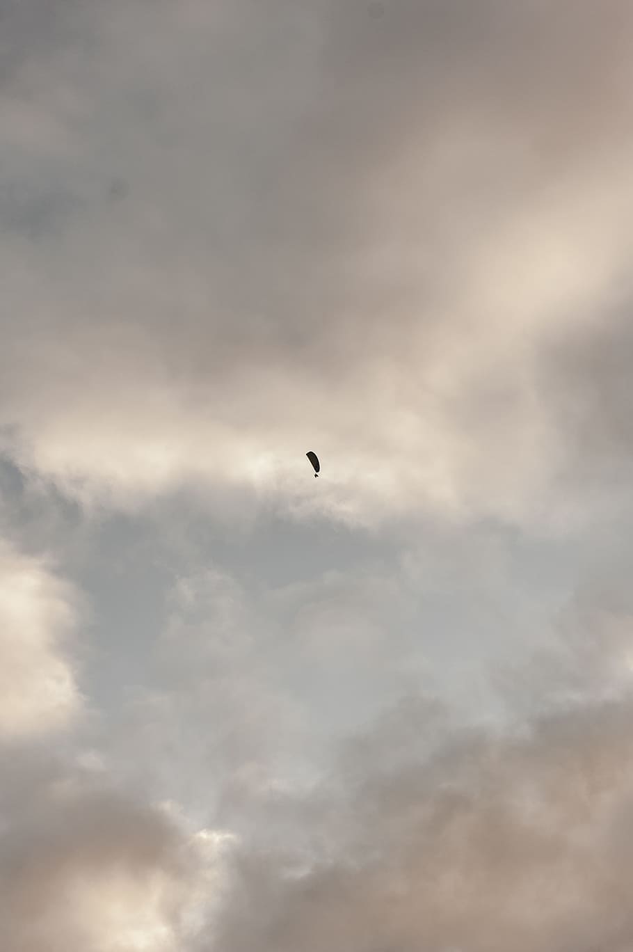 Foto, blå, himmel, skyer, handling, fugl, Sky, daggry, dagslys, skumring, aften, flyvningen, tåge, dom, landskab, natur, udendørs, silhuet, sol, solnedgang, vind, sky - himmel, lav vinkel visning, skønhed i naturen, flyvende, Midt i luften, et dyr, ingen mennesker, ro, scenics - natur, overskyet, dyr, transportmidler, hvirveldyr, dyre temaer, dyreliv, 4K