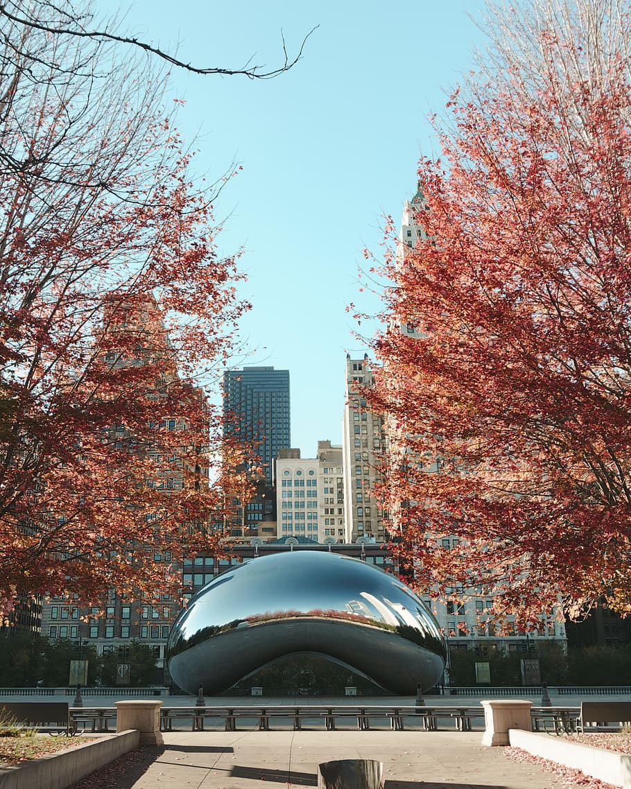cloud gate, chicago, daytime, tree, plant, maple, illinois, tent, office building, building, art, city, urban, town, transportation, railway, train track, rail, autumn, gate, mirror, architecture, built structure, building exterior, sky, nature, day, no people, growth, change, travel destinations, outdoors, park, clear sky, office building exterior, branch, skyscraper, 2K