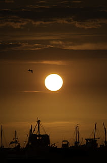 sunset view, sunlight, nature, bird, animal, outdoors, sunset, sunrise, sky, perú, organos, los organos - piura, red sky, dusk, dawn, boat, vehicle, transportation, flare, light, landscape, silhouette, orange color, machinery, cloud - sky, sun, beauty in nature, crane - construction machinery, scenics - nature, no people, industry, sea, water, flying, architecture, 5K, CC0, public domain, royalty free