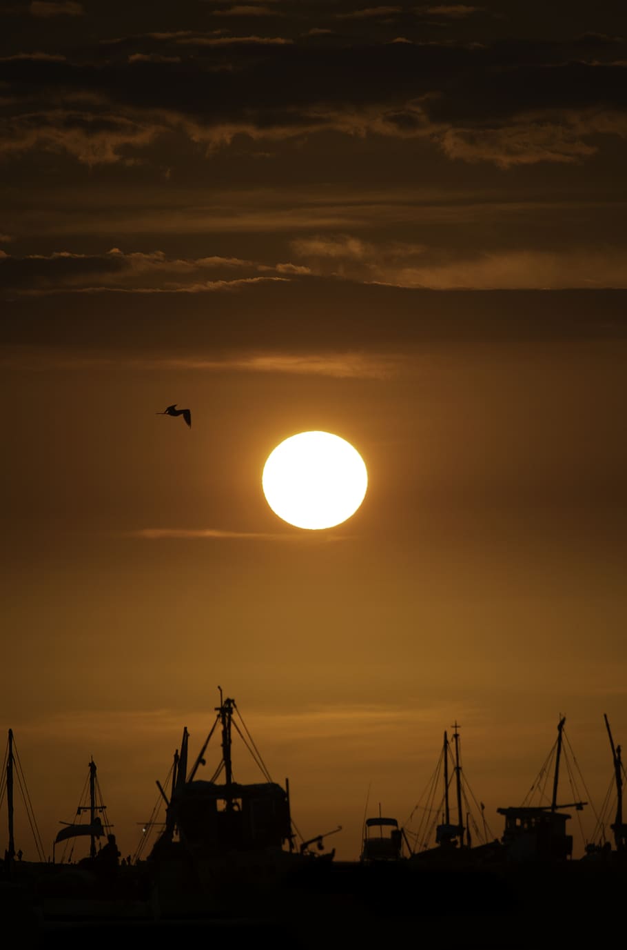 vista al vespre, llum solar, naturalesa, ocell, animal, a l'aire lliure, posta de sol, sortida del sol, cel, perú, organos, los organos - piura, cel vermell, vespre, alba, vaixell, vehicle, transport, flamarada, llum, paisatge, silueta, color taronja, maquinària, núvol - cel, sol, bellesa a la natura, grua - maquinària de construcció, escenics - natura, cap gent, indústria, mar, aigua, volant, arquitectura, 5K