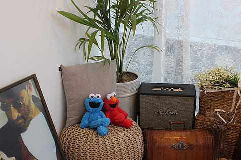 cafe, kaffe, koffein, bord, luft, Brun, træ, god fornøjelse, planter, radio, billedramme, figur, stol, indre, repræsentation, tøjdyr, indendørs, legetøj, Kunst og håndværk, hjem interiør, ingen mennesker, plante, potteplante, kreativitet, dag, Bamse, natur, stilleben, håndværk, menneskelig repræsentation, sæde, 2K, CC0, offentligt domæne, royaltyfrie