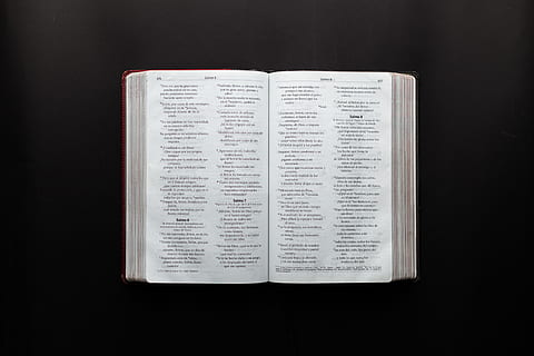open bible, bible, black background, book, book pages, book series, data, document, education, facts, information, knowledge, learn, learning, letter, library, literature, pages, paper, reading, scripture, text, wisdom, word, writing, publication, indoors, no people, studio shot, open, single object, religion, belief, close-up, communication, page, spirituality, guidance, dark, 5K, CC0, public domain, royalty free