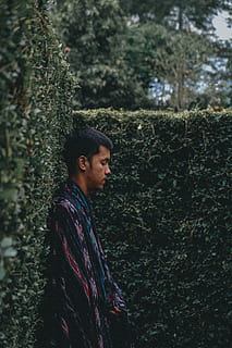 Pria menunduk, orang, orang-orang, manusia, rambut, gaya rambut afro, Abies, pohon, menanam, flora, pohon cemara, konifer, wanita, gadis, semak, vegetasi, Abu-abu, pakaian, sari, ivy, satu orang, anak muda, pria muda, orang sungguhan, kedudukan, hutan, kegiatan waktu luang, mencari, alam, tanah, pertumbuhan, memalingkan muka, tampilan samping, gaya hidup, pinggang ke atas, pakaian kasual, hari, kontemplasi, di luar rumah, gaya rambut, 5K, CC0, domain publik, bebas royalti